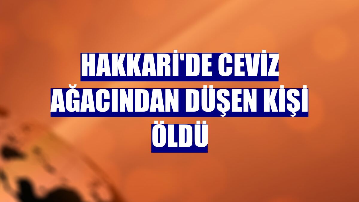 Hakkari'de ceviz ağacından düşen kişi öldü