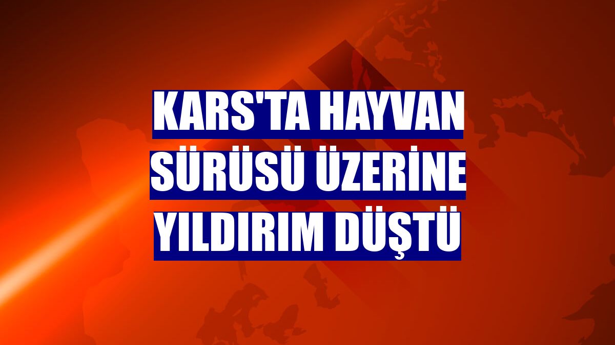 Kars'ta hayvan sürüsü üzerine yıldırım düştü