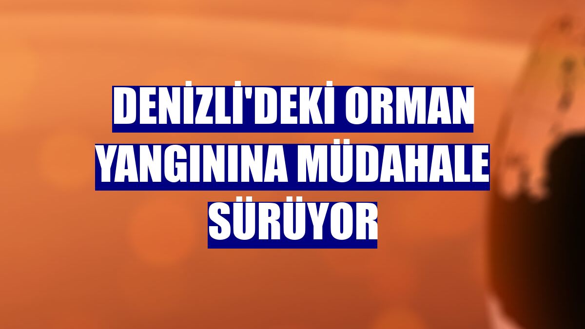 Denizli'deki orman yangınına müdahale sürüyor