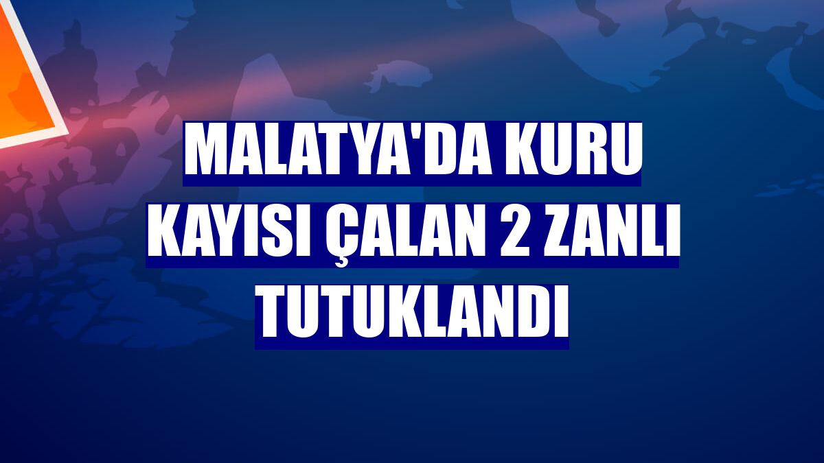 Malatya'da kuru kayısı çalan 2 zanlı tutuklandı