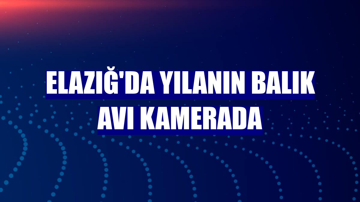Elazığ'da yılanın balık avı kamerada