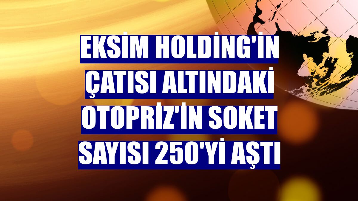 Eksim Holding'in çatısı altındaki OtoPriz'in soket sayısı 250'yi aştı