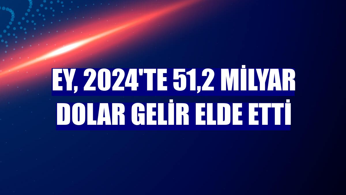 EY, 2024'te 51,2 milyar dolar gelir elde etti