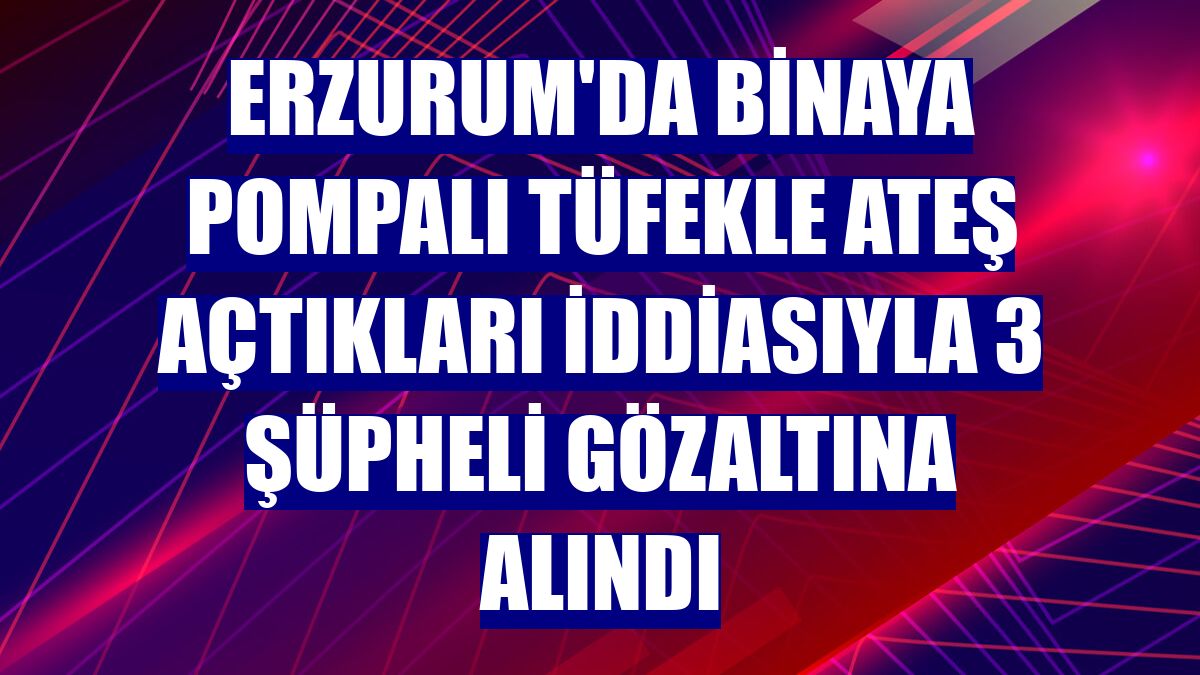 Erzurum'da binaya pompalı tüfekle ateş açtıkları iddiasıyla 3 şüpheli gözaltına alındı