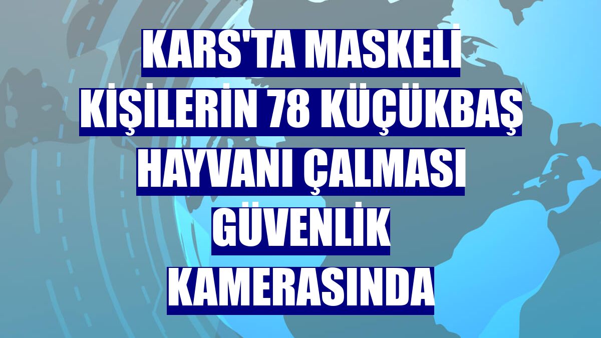 Kars'ta maskeli kişilerin 78 küçükbaş hayvanı çalması güvenlik kamerasında
