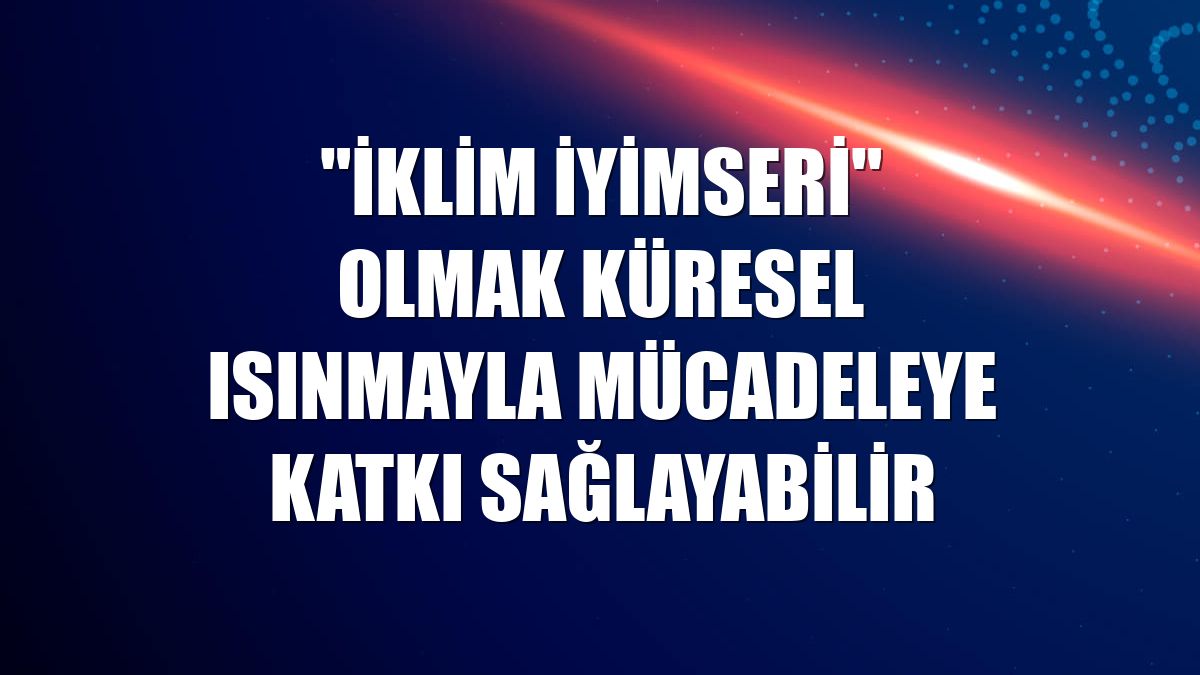 "İklim iyimseri" olmak küresel ısınmayla mücadeleye katkı sağlayabilir