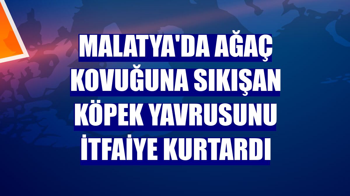 Malatya'da ağaç kovuğuna sıkışan köpek yavrusunu itfaiye kurtardı