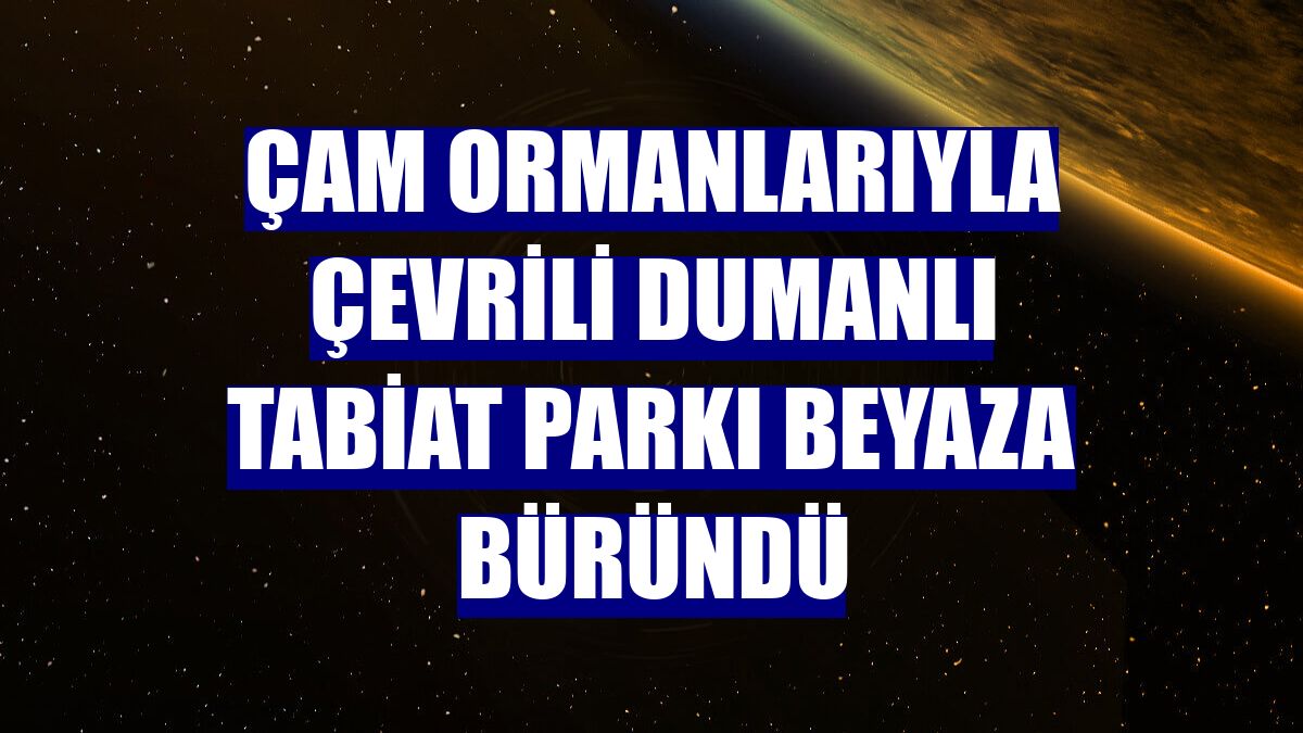Çam ormanlarıyla çevrili Dumanlı Tabiat Parkı beyaza büründü