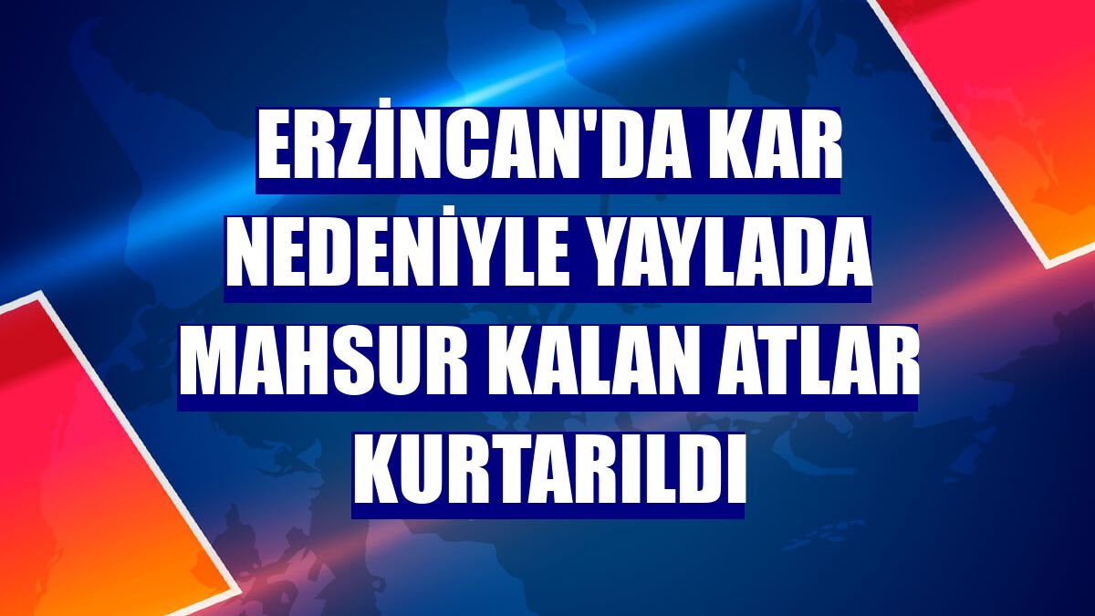 Erzincan'da kar nedeniyle yaylada mahsur kalan atlar kurtarıldı