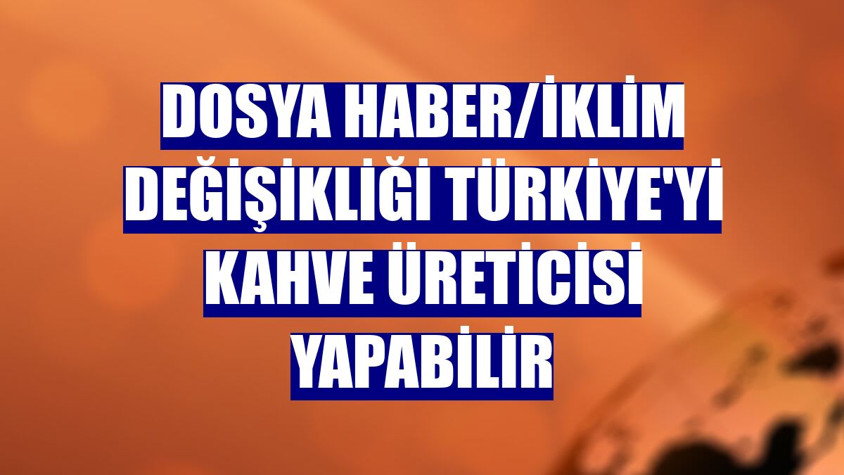 DOSYA HABER/İklim değişikliği Türkiye'yi kahve üreticisi yapabilir
