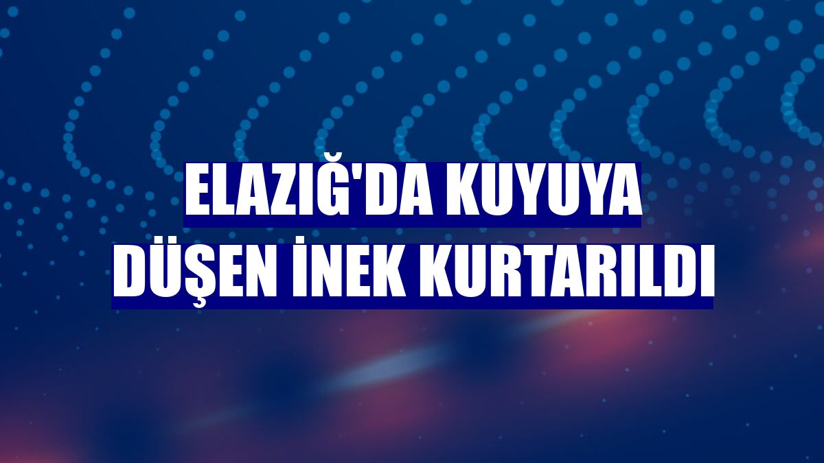 Elazığ'da kuyuya düşen inek kurtarıldı