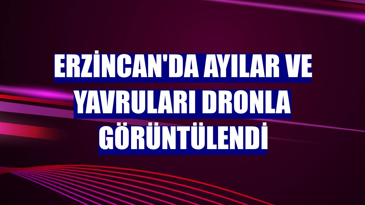 Erzincan'da ayılar ve yavruları dronla görüntülendi