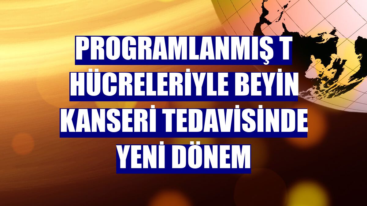 Programlanmış T hücreleriyle beyin kanseri tedavisinde yeni dönem