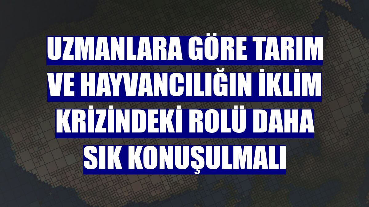 Uzmanlara göre tarım ve hayvancılığın iklim krizindeki rolü daha sık konuşulmalı