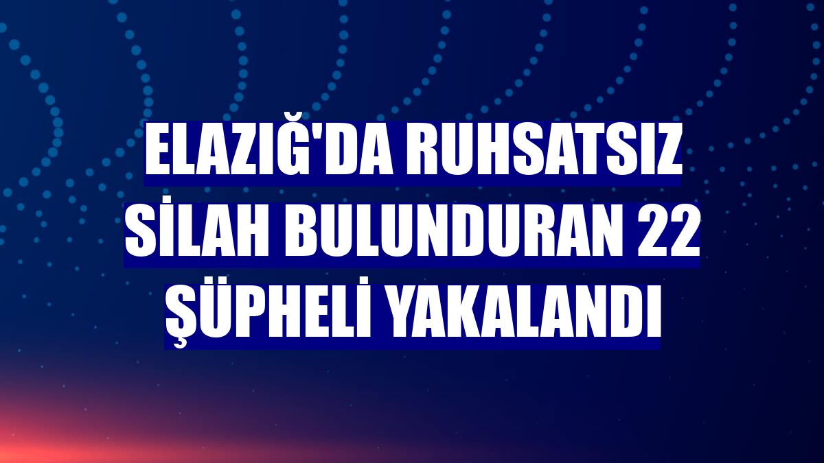 Elazığ'da ruhsatsız silah bulunduran 22 şüpheli yakalandı