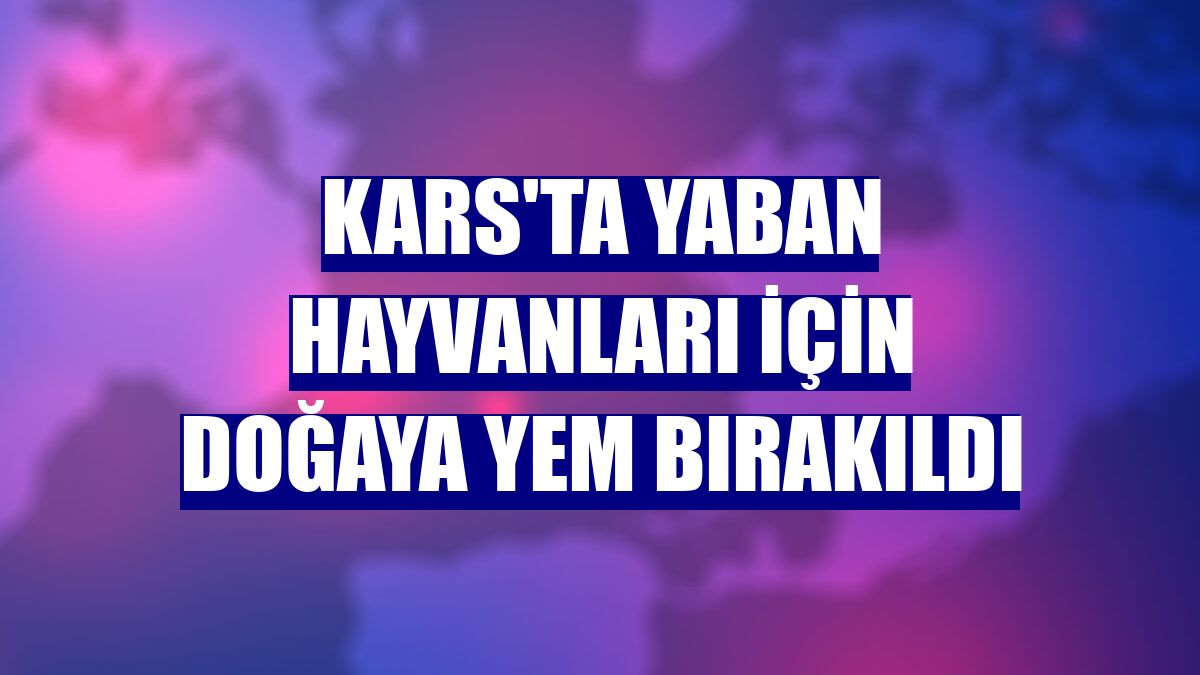 Kars'ta yaban hayvanları için doğaya yem bırakıldı