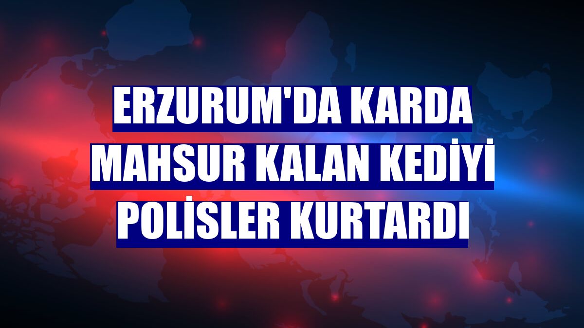 Erzurum'da karda mahsur kalan kediyi polisler kurtardı