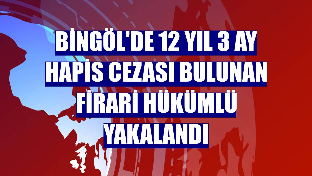 Bingöl'de 12 yıl 3 ay hapis cezası bulunan firari hükümlü yakalandı