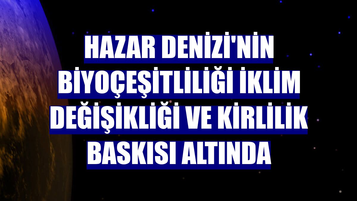 Hazar Denizi'nin biyoçeşitliliği iklim değişikliği ve kirlilik baskısı altında