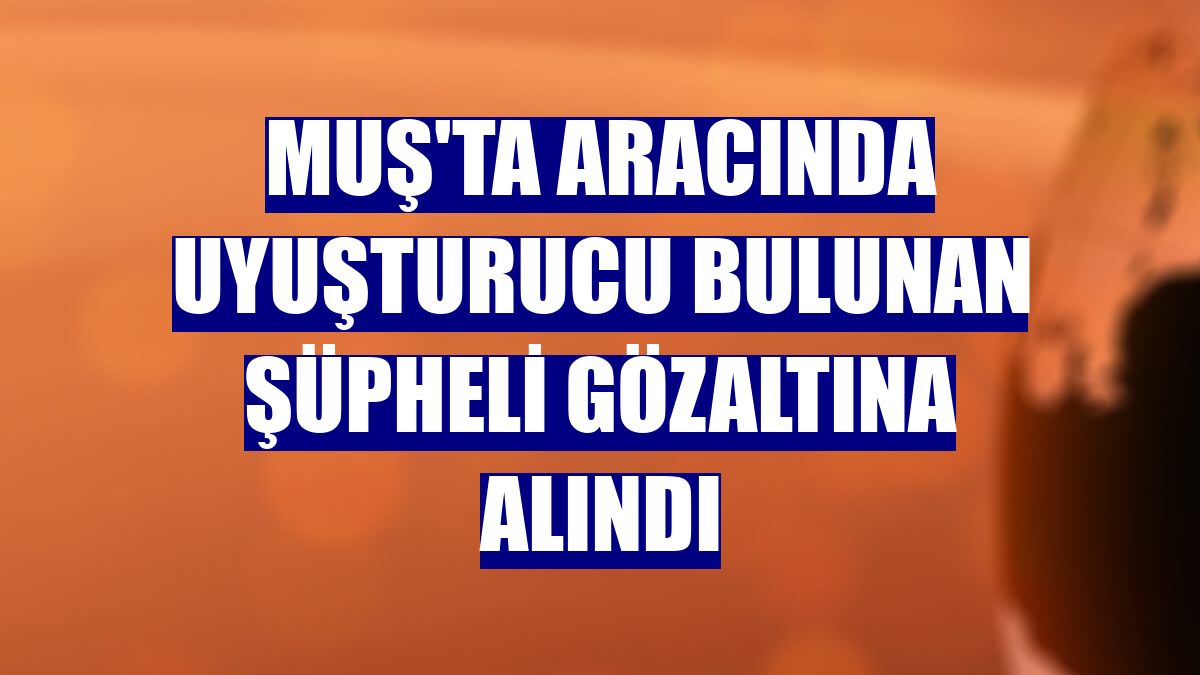 Muş'ta aracında uyuşturucu bulunan şüpheli gözaltına alındı