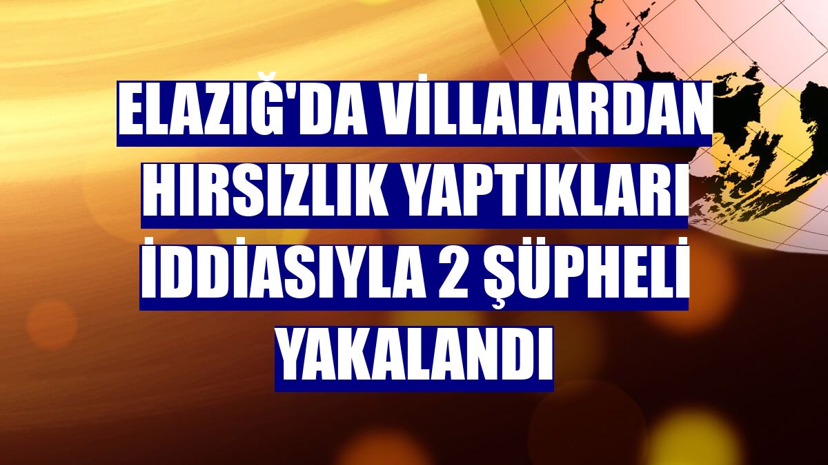 Elazığ'da villalardan hırsızlık yaptıkları iddiasıyla 2 şüpheli yakalandı
