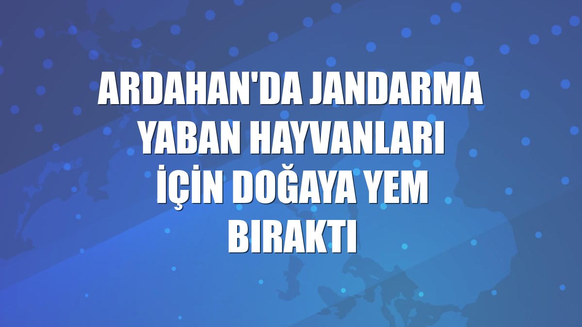 Ardahan'da jandarma yaban hayvanları için doğaya yem bıraktı