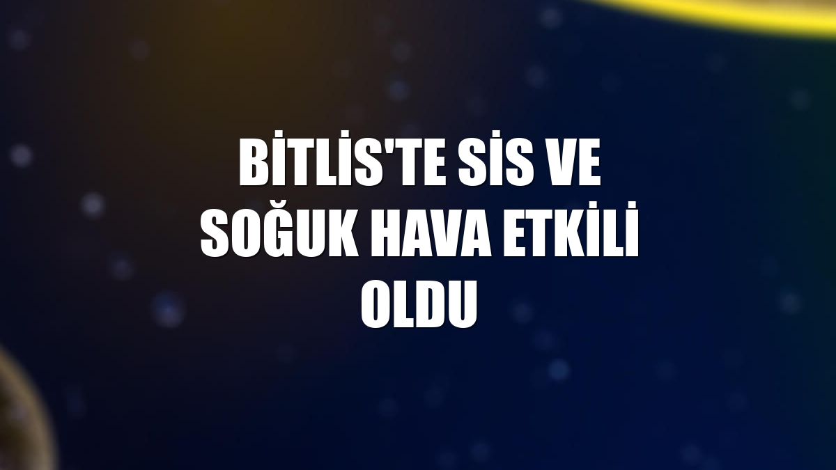 Bitlis'te sis ve soğuk hava etkili oldu