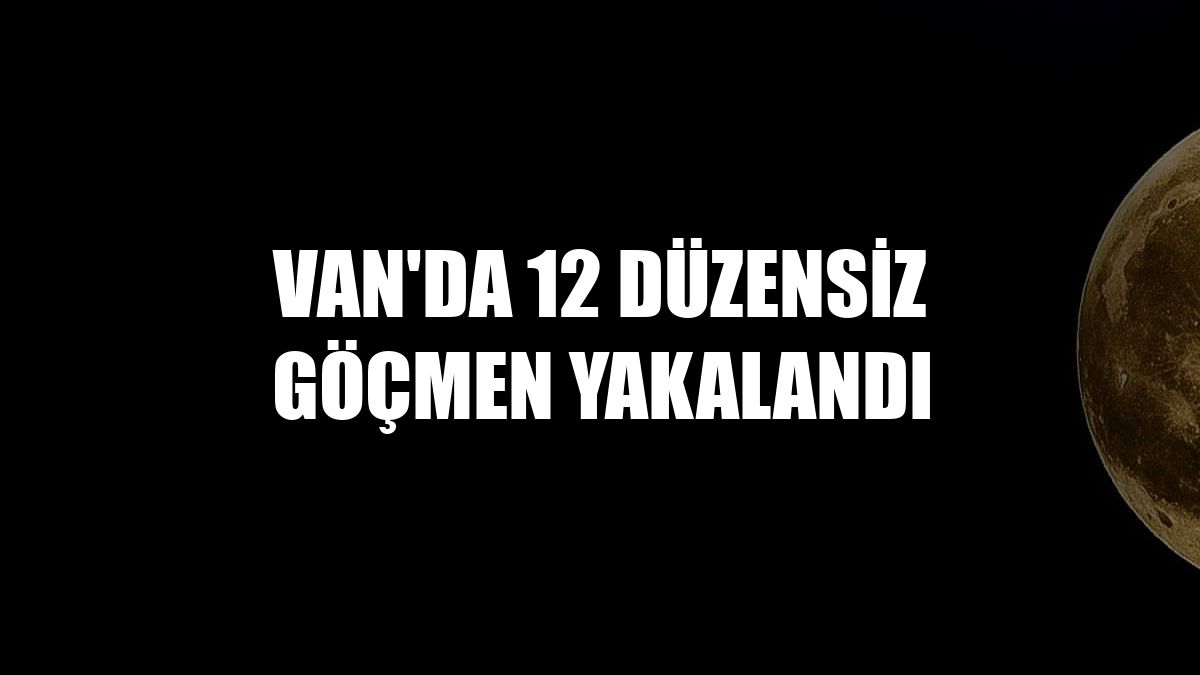 Van'da 12 düzensiz göçmen yakalandı