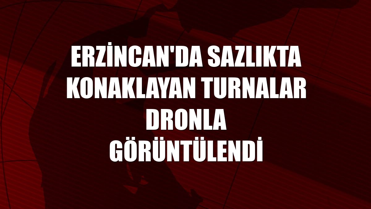 Erzincan'da sazlıkta konaklayan turnalar dronla görüntülendi
