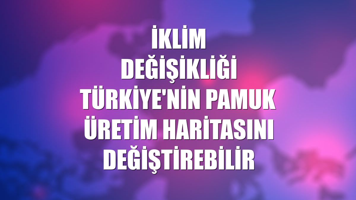 İklim değişikliği Türkiye'nin pamuk üretim haritasını değiştirebilir