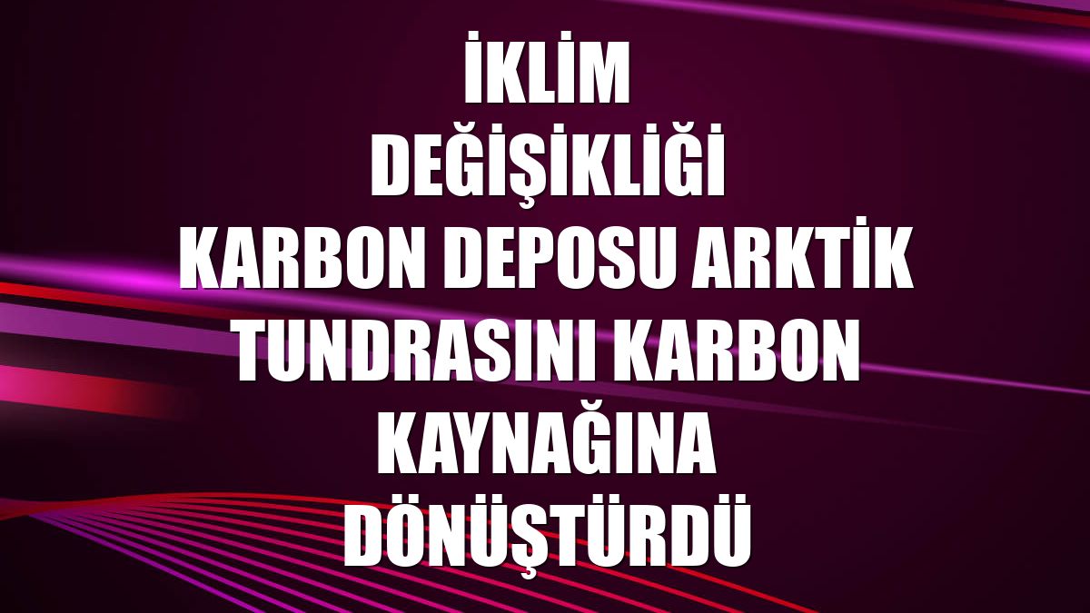 İklim değişikliği karbon deposu Arktik tundrasını karbon kaynağına dönüştürdü