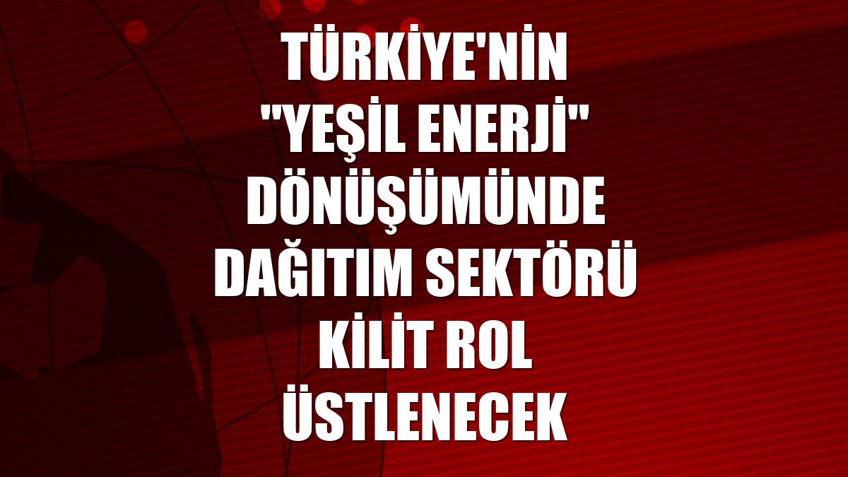 Türkiye'nin "yeşil enerji" dönüşümünde dağıtım sektörü kilit rol üstlenecek