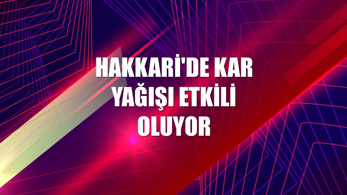 Hakkari'de kar yağışı etkili oluyor