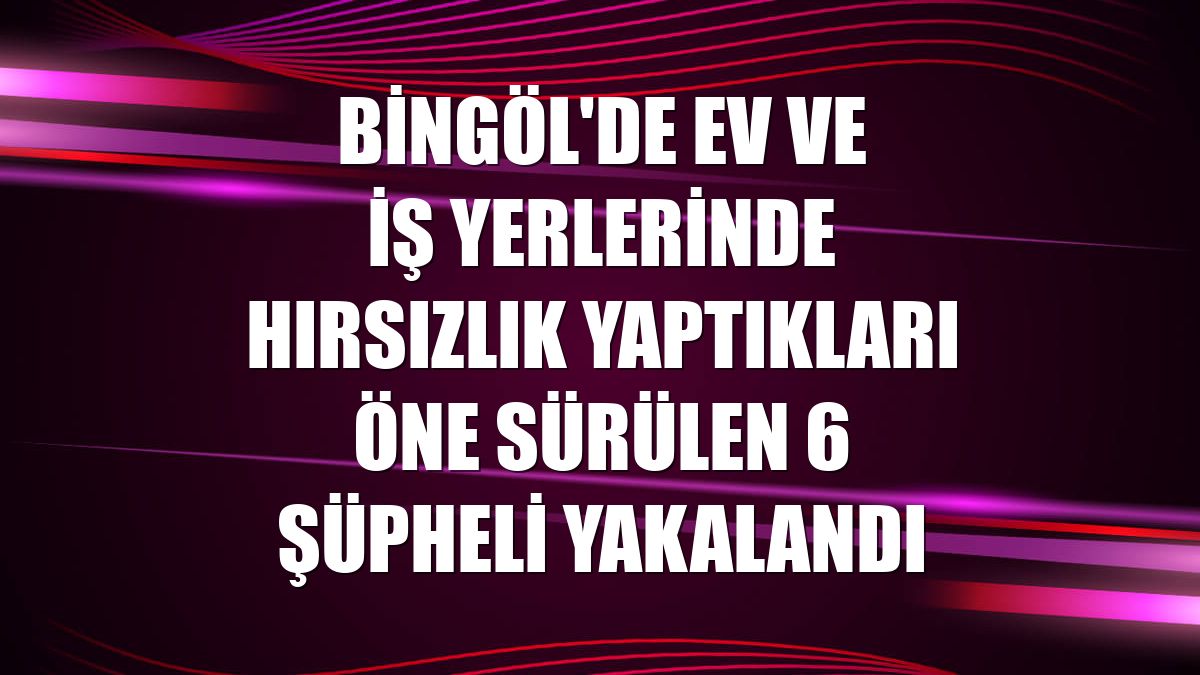 Bingöl'de ev ve iş yerlerinde hırsızlık yaptıkları öne sürülen 6 şüpheli yakalandı