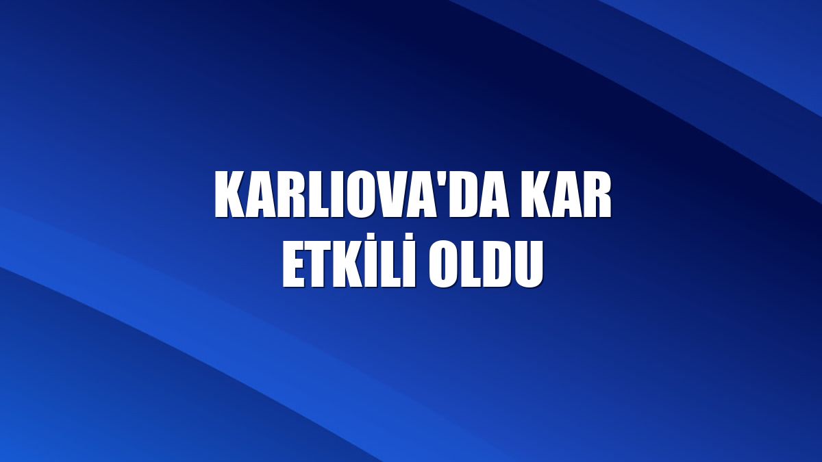 Karlıova'da kar etkili oldu