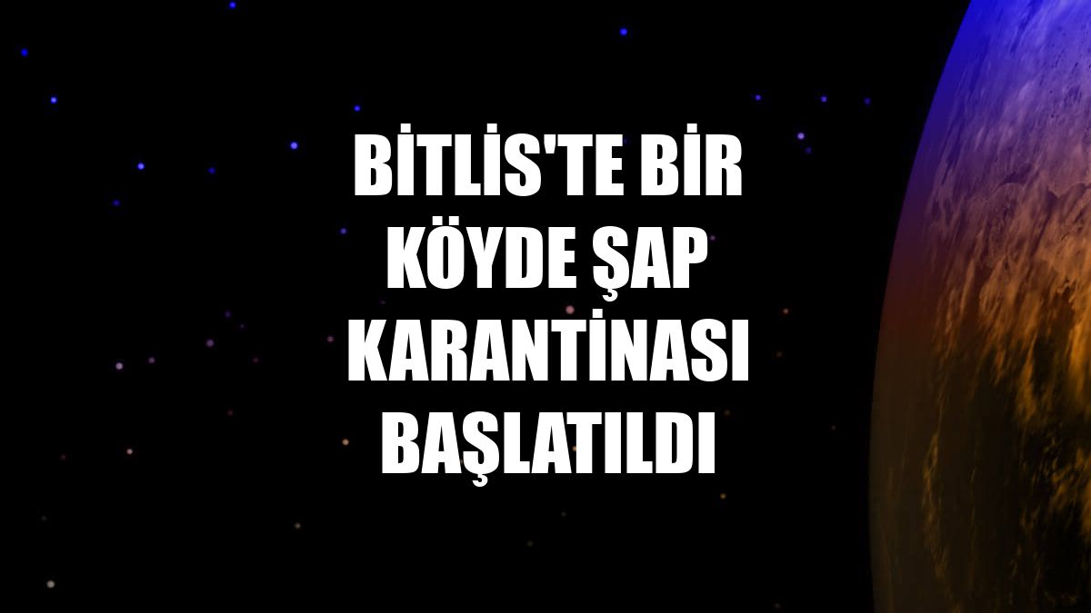 Bitlis'te bir köyde şap karantinası başlatıldı