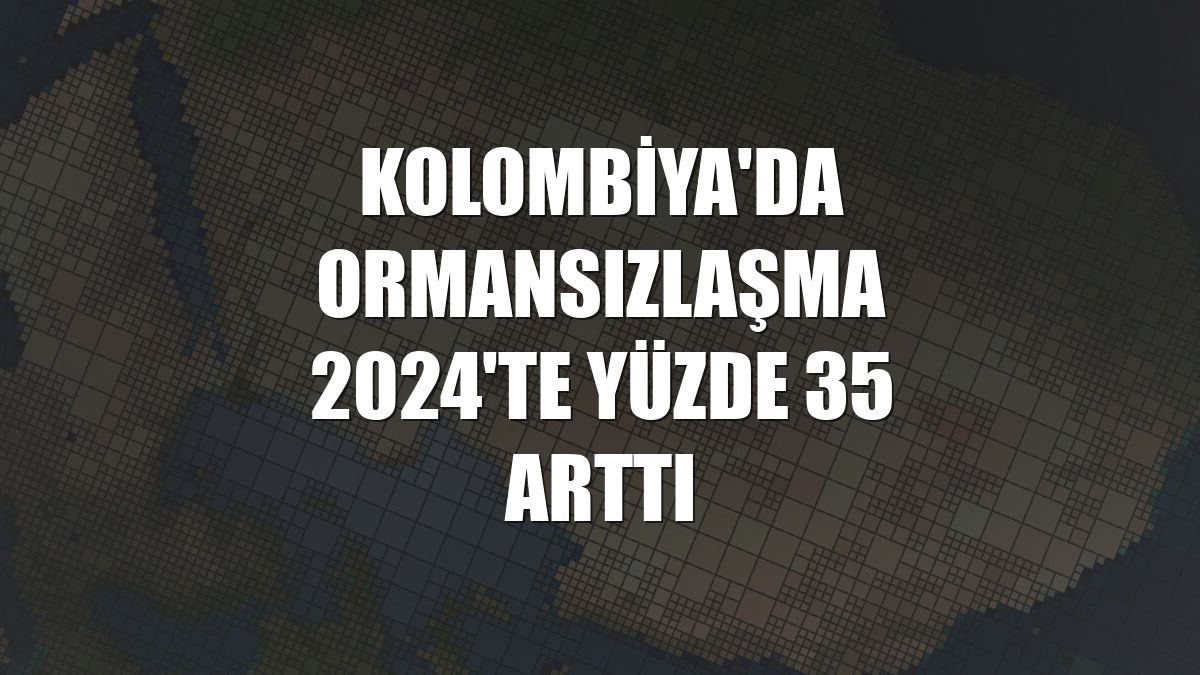 Kolombiya'da ormansızlaşma 2024'te yüzde 35 arttı