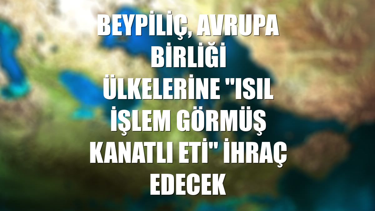 Beypiliç, Avrupa Birliği ülkelerine "ısıl işlem görmüş kanatlı eti" ihraç edecek