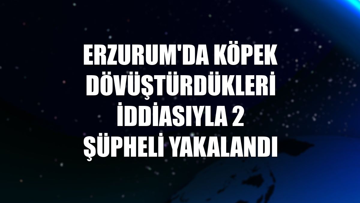 Erzurum'da köpek dövüştürdükleri iddiasıyla 2 şüpheli yakalandı