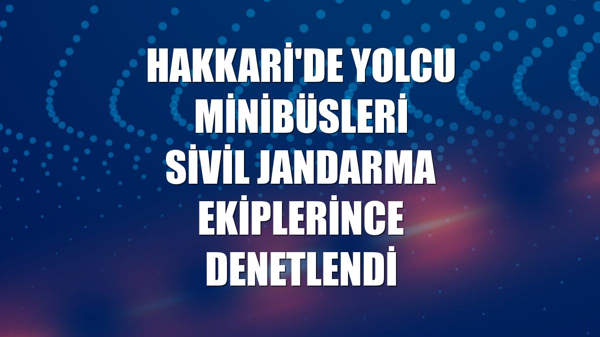 Hakkari'de yolcu minibüsleri sivil jandarma ekiplerince denetlendi