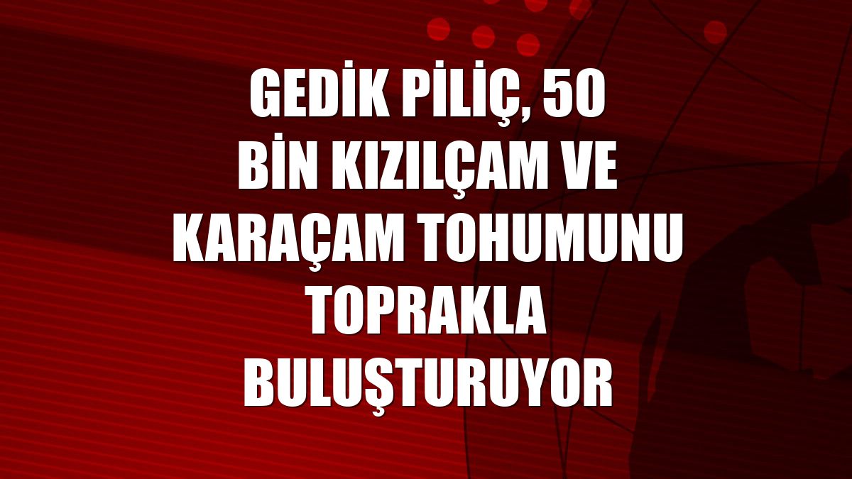 Gedik Piliç, 50 bin kızılçam ve karaçam tohumunu toprakla buluşturuyor