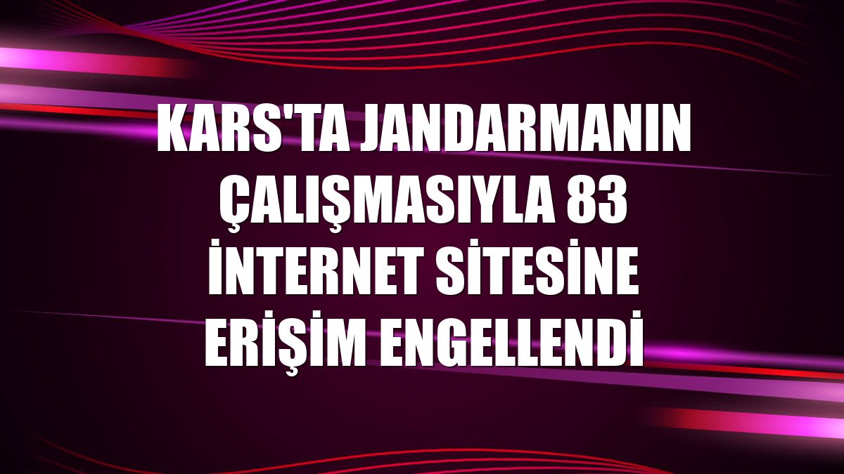 Kars'ta jandarmanın çalışmasıyla 83 internet sitesine erişim engellendi