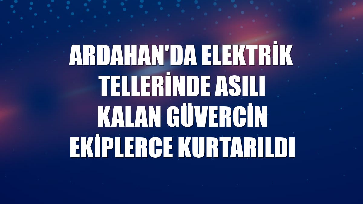 Ardahan'da elektrik tellerinde asılı kalan güvercin ekiplerce kurtarıldı
