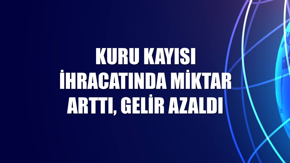 Kuru kayısı ihracatında miktar arttı, gelir azaldı