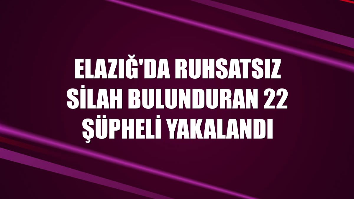 Elazığ'da ruhsatsız silah bulunduran 22 şüpheli yakalandı