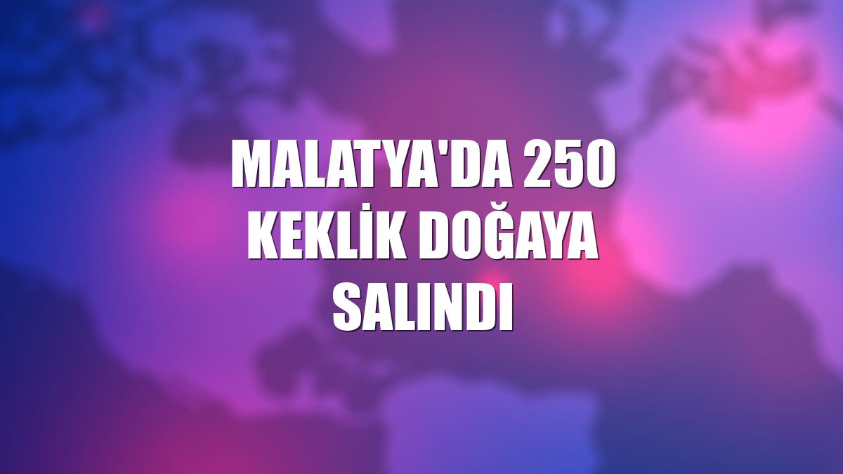 Malatya'da 250 keklik doğaya salındı