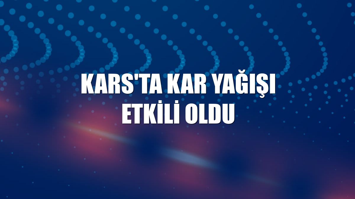 Kars'ta kar yağışı etkili oldu