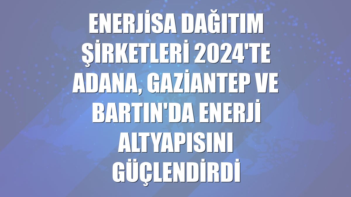 Enerjisa Dağıtım Şirketleri 2024'te Adana, Gaziantep ve Bartın'da enerji altyapısını güçlendirdi