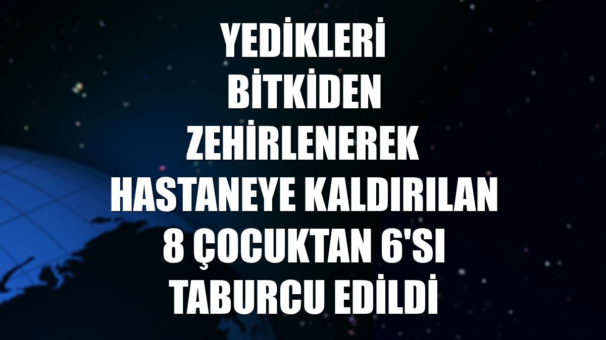 Yedikleri bitkiden zehirlenerek hastaneye kaldırılan 8 çocuktan 6'sı taburcu edildi