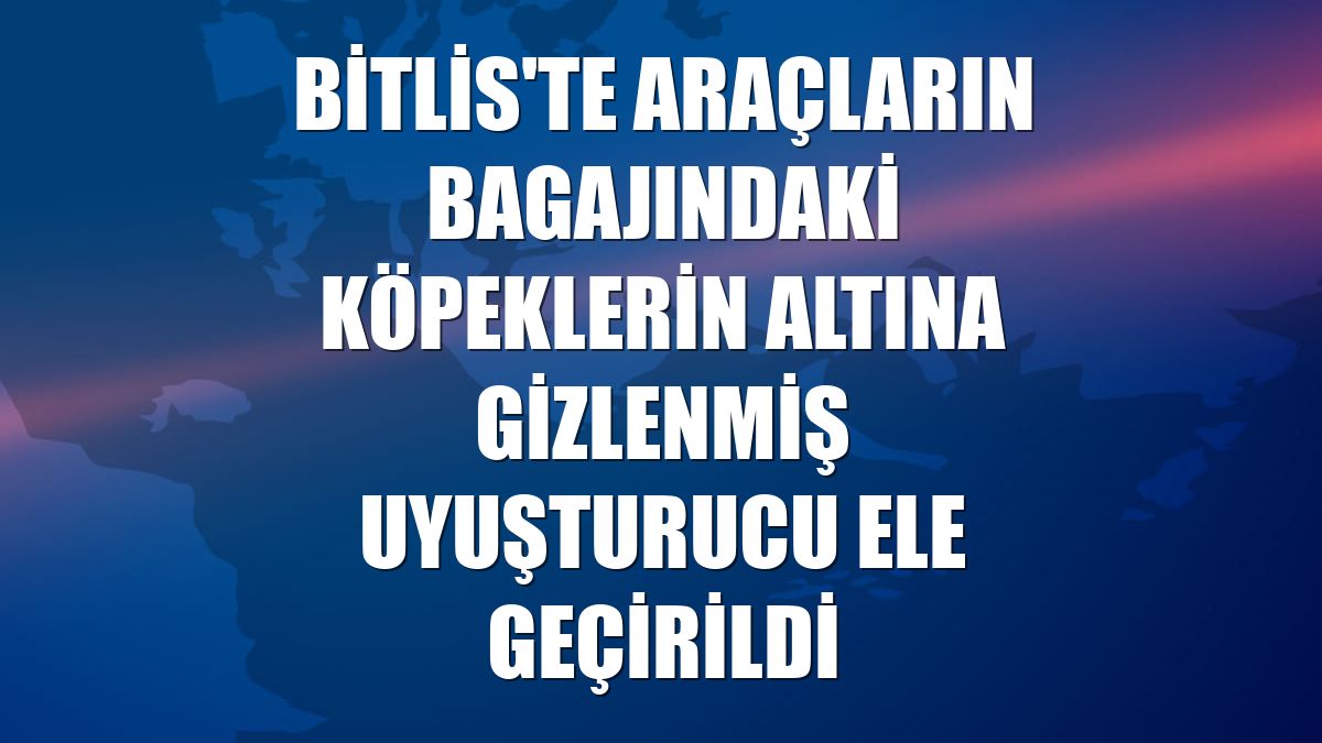 Bitlis'te araçların bagajındaki köpeklerin altına gizlenmiş uyuşturucu ele geçirildi